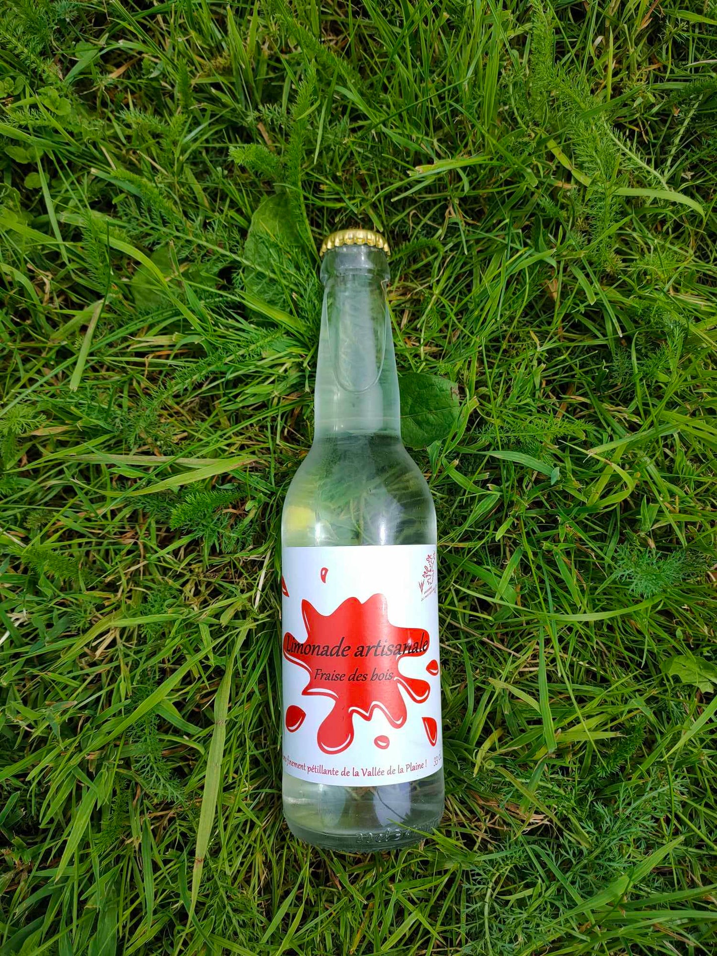 Limonade artisanale